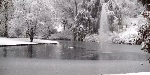 Moonlight Winter Stroll