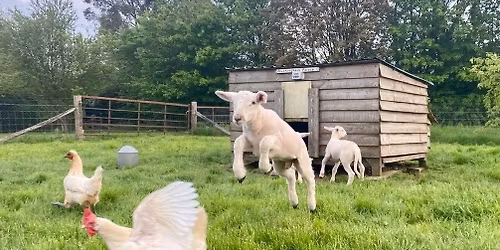 \u201cGetting Back To The Land\u201d