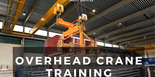 Overhead Crane Training Lively