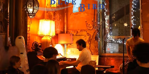 BlueBird Concerts: Multi-Genre Music on Governors Island