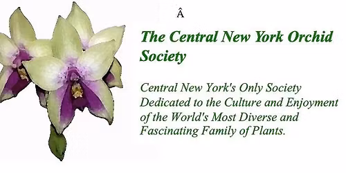 Orchid Show (Binghampton, NY)