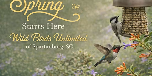 Class about Humming Birds