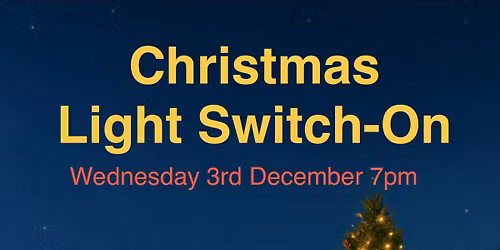 Christmas Lights Switch On 