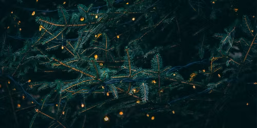 Gals & the Grapevine - Holiday Party + Networking Event!