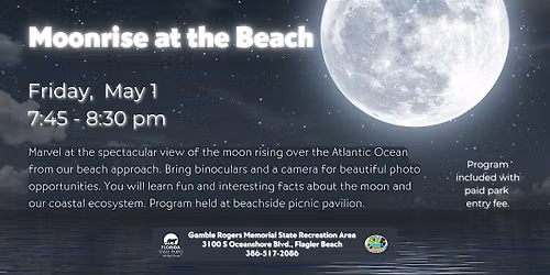Moonrise at the Beach