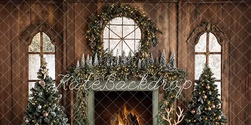 Christmas Mini sessions- Fancy or casual dress