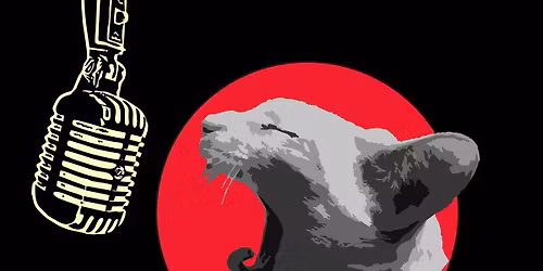 GREEDYCATS LIVE HEILE WELT