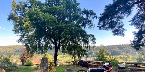 Gravelbike Tour - Pfalz pur