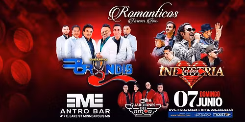 BRYNDIS, INDUSTRIA DEL AMOR Y MAS