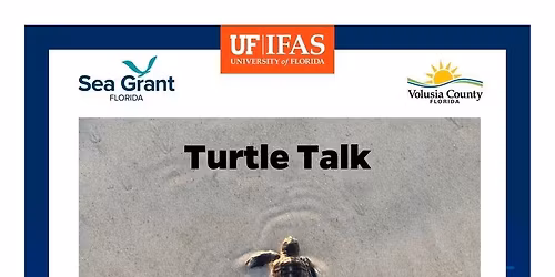 Turtle Talk 