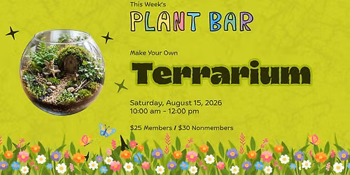 Plant Bar: Terrarium Succulent Pots 