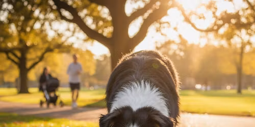 Noseworkov\u00fd p\u0159\u00edm\u011bstsk\u00fd t\u00e1bor v Tel\u010di