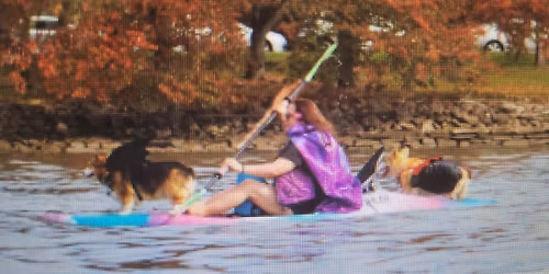 Familiars Fleet - Witches Paddle