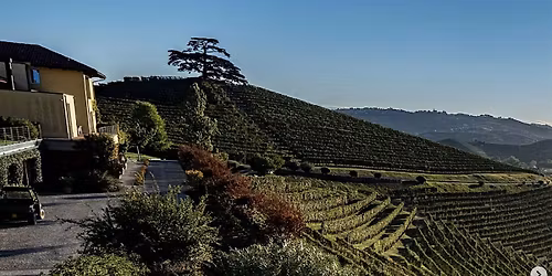 Barolo, From the Source \u2014 One Night at Marrow in the Market