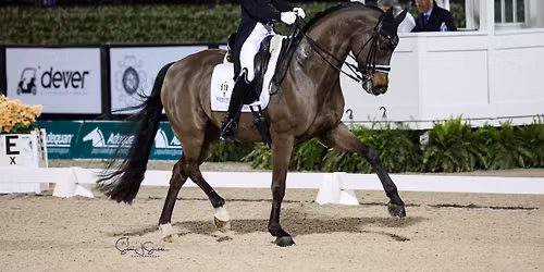 \u2728 Friday Night Stars - World Cup Qualifier