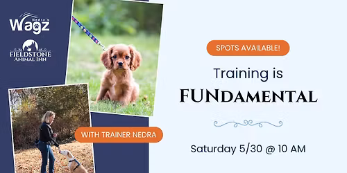 Human Workshop: Training is FUNdamental