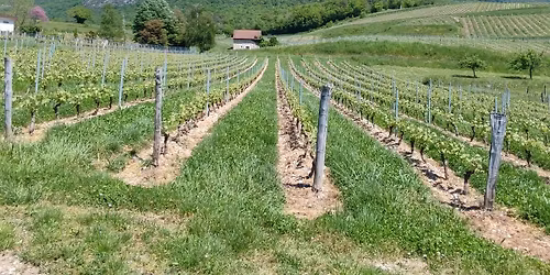 S\u00e9jour pour personnes endeuill\u00e9es