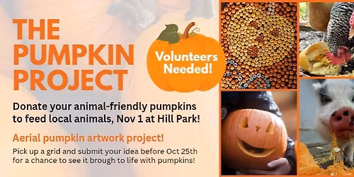 The Pumpkin Project