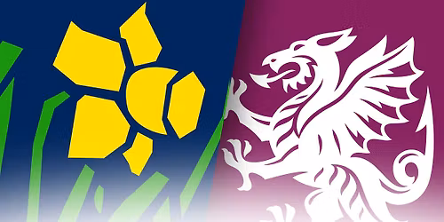 Vitality Blast: Glamorgan Men vs Somerset