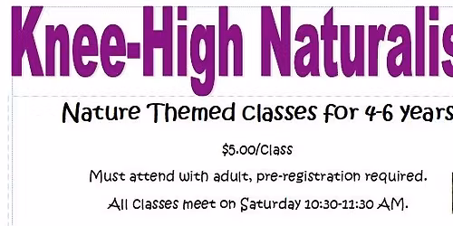 Knee-high Naturalists 