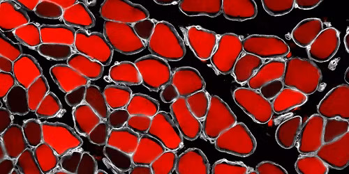 20th Wisconsin Stem Cell Symposium