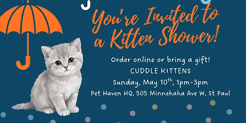 Kitten Shower