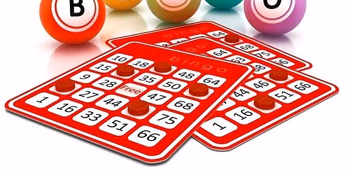 Mega-Party Vendor Bingo & Shopping Event!