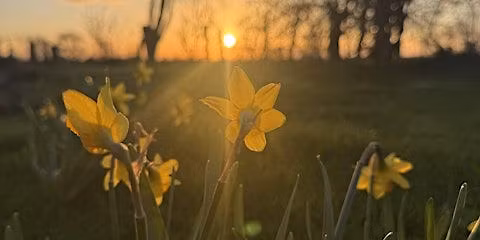 Rest Your Mind: A Half-Day Retreat in Nature, with Mind Charity