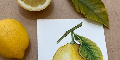 Botanical Watercolour Workshop 'Lemons' with Karen Green Saturday 16th May 2026