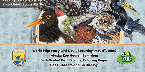 World Migratory Bird Day