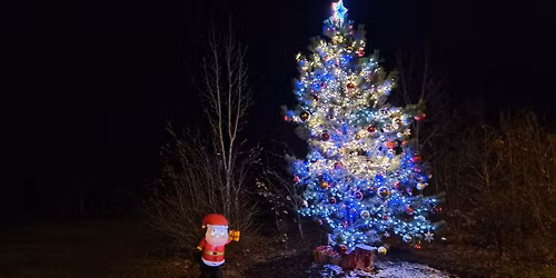 Hogsden Leys Christmas Tree Light Switch-On