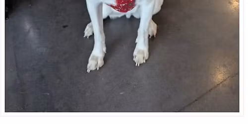 Monthly Meet & Greet 