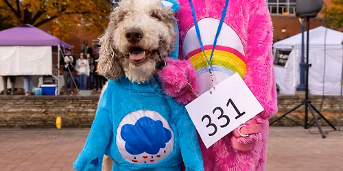 Canines on the Creek