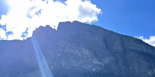Candace and Brad's Buck and Doe