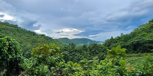 Islandwide Vybz Pub Crawl