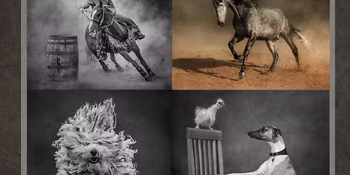 The ART of the PANEL - Masterpieces by Victoria Andrews - Exhibition