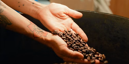 Coffee + Roasting 101