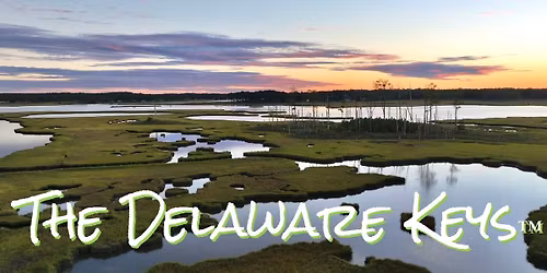 Long Neck Roadside cleanup