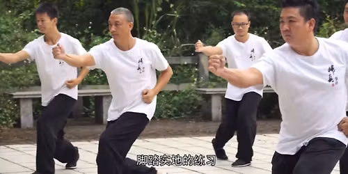 Ma Weiqi style Baguazhang seminar