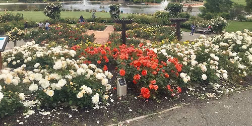 Tour of the Gardens at Heather Farm