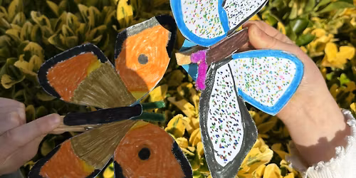 Mini Beasts and Bugs