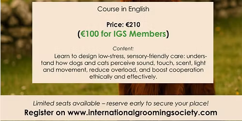 The Counscious Sensory Approach