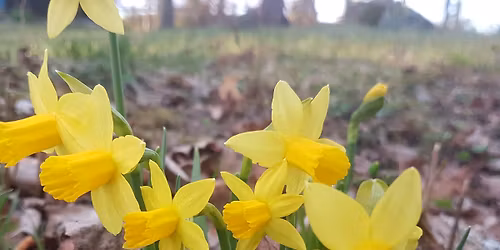 NPF-tr\u00e4ff Hj\u00e4lp vid vuxenstudier Caroline FR-kontakten