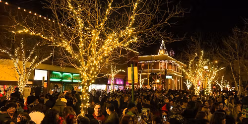 Winter Wonderland & Tree Lighting