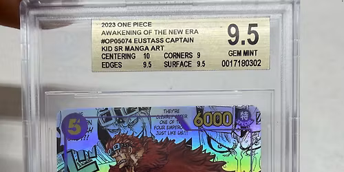 Team Net Off Meta BGS Manga Kid Tournament