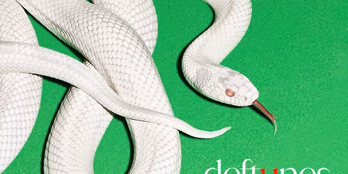 Deftunes tribute to The Deftones plus support from Severance