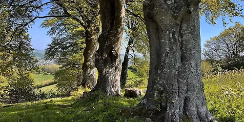 Sensory Presence - Nature Connection Workshop