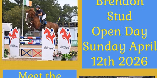 Brendon Stud Stallion Open Day 