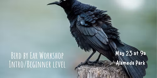 Bird by Ear Workshop & Walk