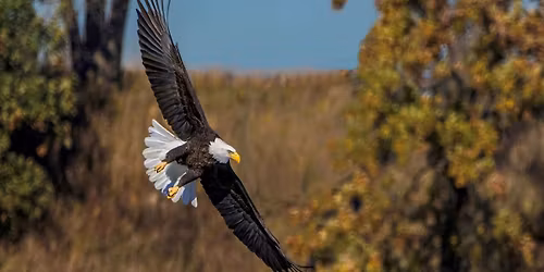 Migratory Bird Hike at Lake Renwick